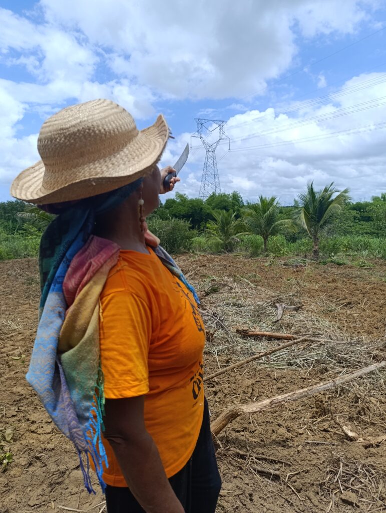 Comissão de Meio Ambiente da ALEPE visitará assentamentos impactados por Linhas de Transmissão de Energia